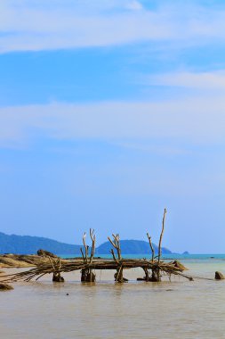 Phuket Adası Tayland