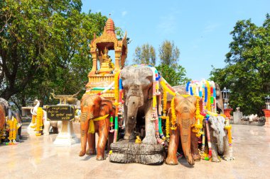 Filler phuket deniz feneri