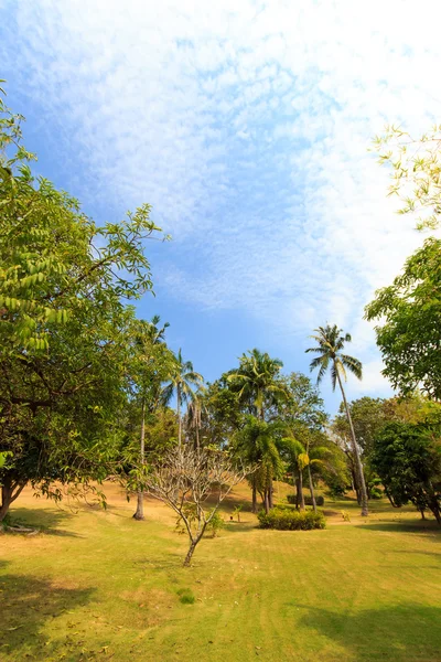 Schöner tropischer Garten über blauem Himmel — Stockfoto