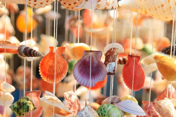 Sea shell curtain — Stock Photo, Image