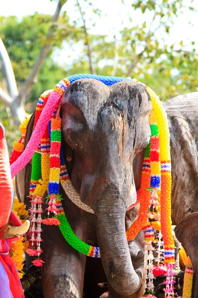 Les éléphants au phare de Phuket — Photo