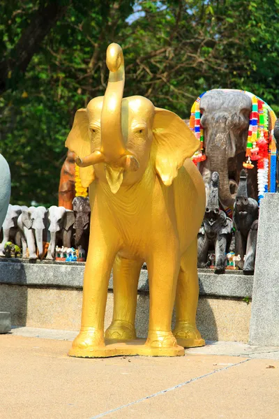 Słonie w latarni morskiej phuket — Zdjęcie stockowe