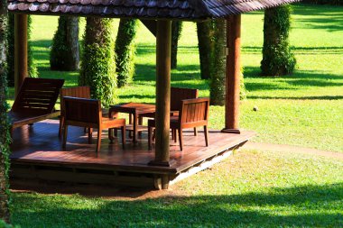 arka tropikal Bahçe