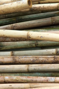 Stack of bamboos clipart