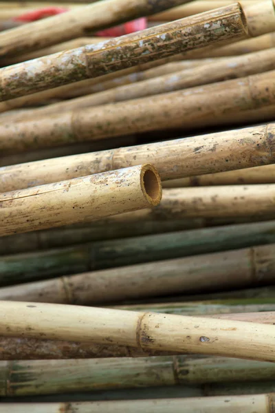 Stack of bamboos — Stock Photo, Image