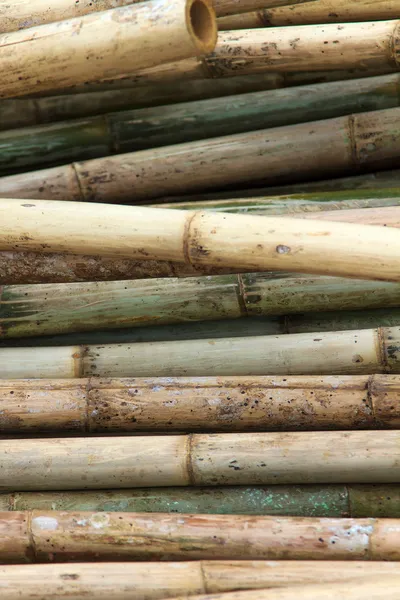 Stack of bamboos — Stock Photo, Image