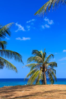 Phuket Adası Tayland