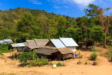 Phuket Tayland jungle