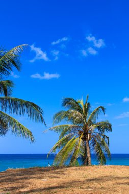 Phuket Adası Tayland