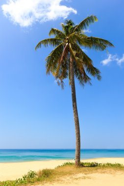 Phuket Adası Tayland