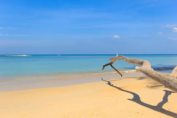 Paradisiac beach in Phuket — Stock Photo, Image