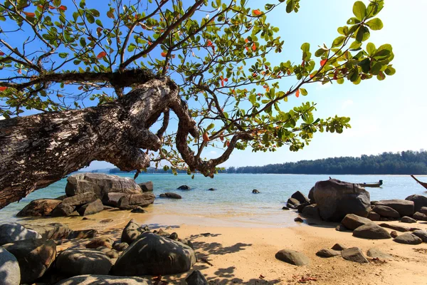 Paradijselijke strand in phuket — Stockfoto