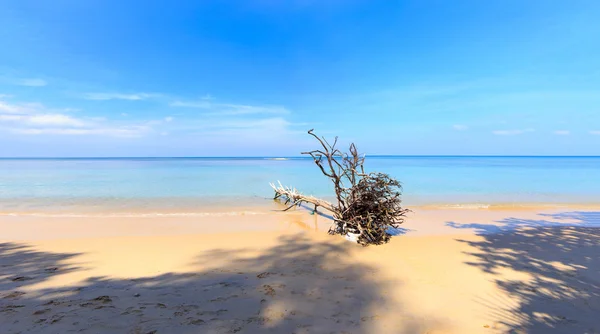 Paradisiac beach in Phuket — Stock Photo, Image