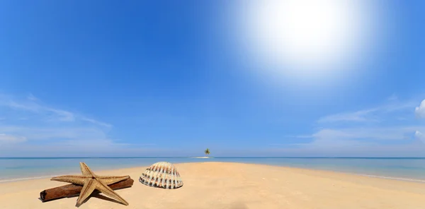 Mar e coqueiro na ilha deserta — Fotografia de Stock