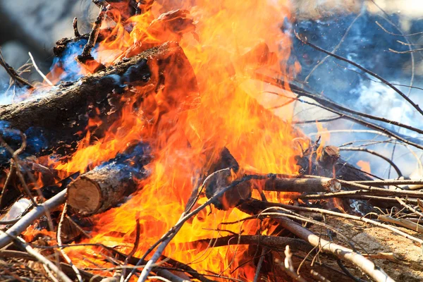 Bonfire burning at the beach — Stock Photo, Image