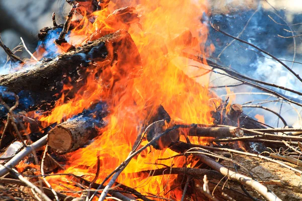 Lagerfeuer brennt am Strand — Stockfoto