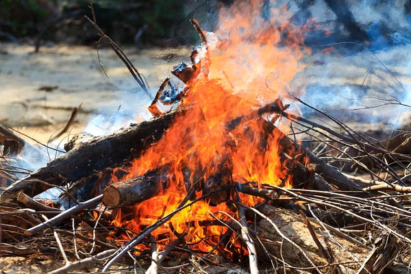 Bonfire burning at the beach — Stock Photo, Image