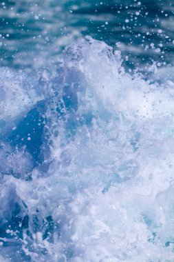 Motorlu tekne motoru