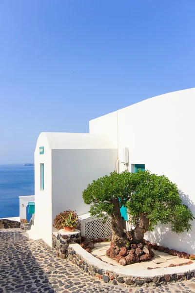 Visa på oia i santorini — Stockfoto