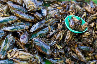 Tayland gıda snack gibi böcekler