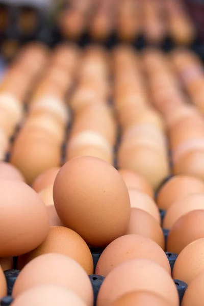 Eggs at the market — Stock Photo, Image