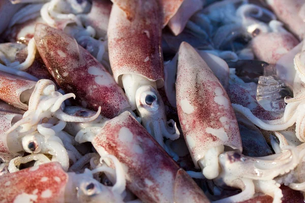 Friss squids jelennek meg a kosár friss tenger gyümölcsei a piacon — Stock Fotó