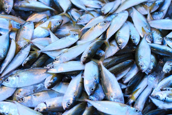 Fresh Fish on a Market — Stock Photo, Image