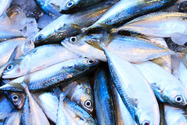 Pesce fresco su un mercato — Foto Stock