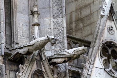 Gargoyle üzerinde notre dame Katedrali