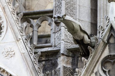 Gargoyle üzerinde notre dame Katedrali