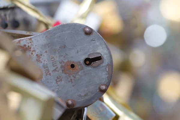 Love locks in Paris — Stock Photo, Image