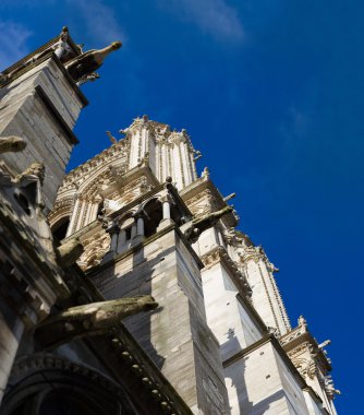 Notre dame de Paris