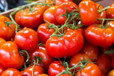 kiraz domates, Market