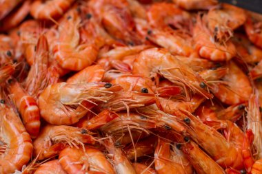 portre üzerinde taze karides