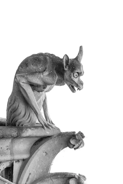 Gargoyle notre Dame, paris