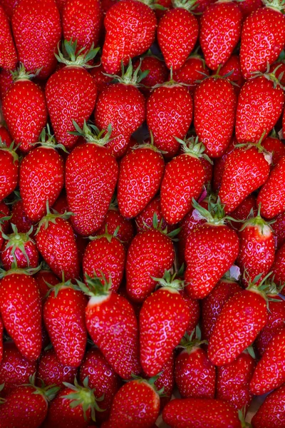 Close up van aardbei op markt — Stockfoto