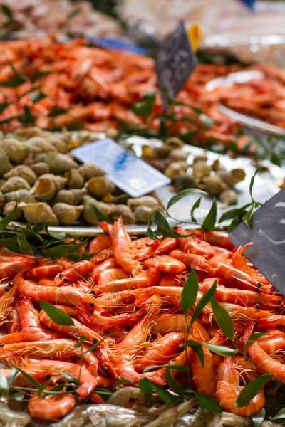 Shrimps at the market — Stock Photo, Image