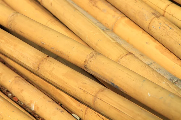 Pile of bamboo — Stock Photo, Image