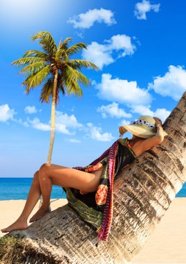 Malaya peştemâli bir Hindistan cevizi ağacı üzerinde kadın