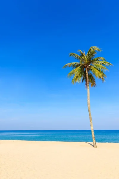 Lege tropisch strand — Stockfoto