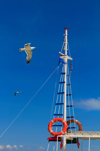 釣りのボートとの海カモメ — ストック写真