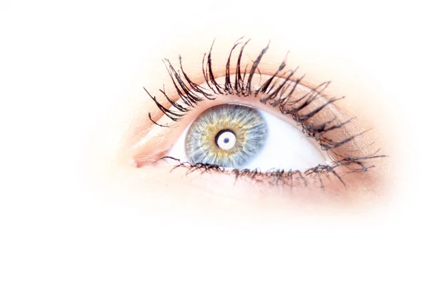 Piękne niebieskie oko — Zdjęcie stockowe