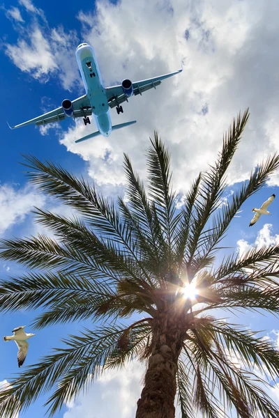 Repülőgép és a sirályok, a repülés — Stock Fotó