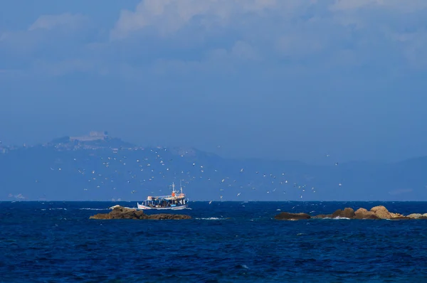 Barco de pesca cercado por gaivotas — Fotografia de Stock