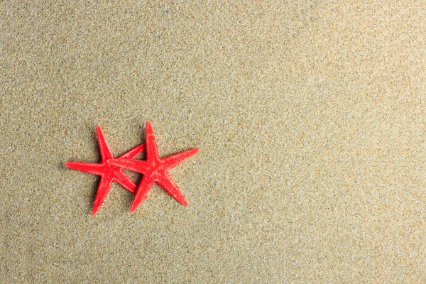 Starfish on the beach — Stock Photo, Image