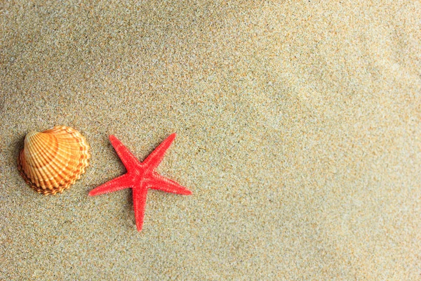 Starfish and seashells — Stock Photo, Image