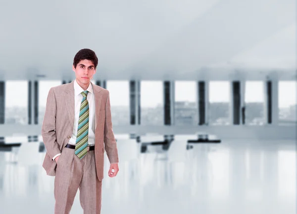 Homem de negócios posando no escritório — Fotografia de Stock