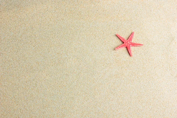 沙洲上的海星 — 图库照片
