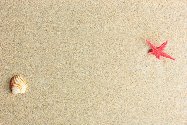 Starfish on the sand — Stock Photo, Image