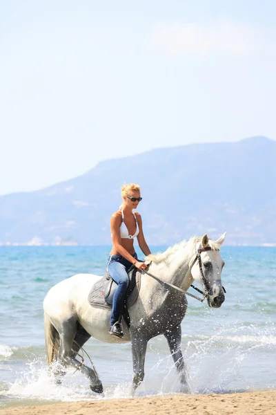 Jonge renner op het strand — Stockfoto